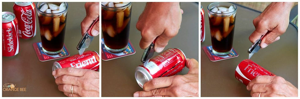 Coke Hummer Feeder