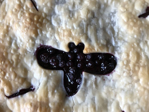 The Best Blueberry Pie You’ll Ever Bake