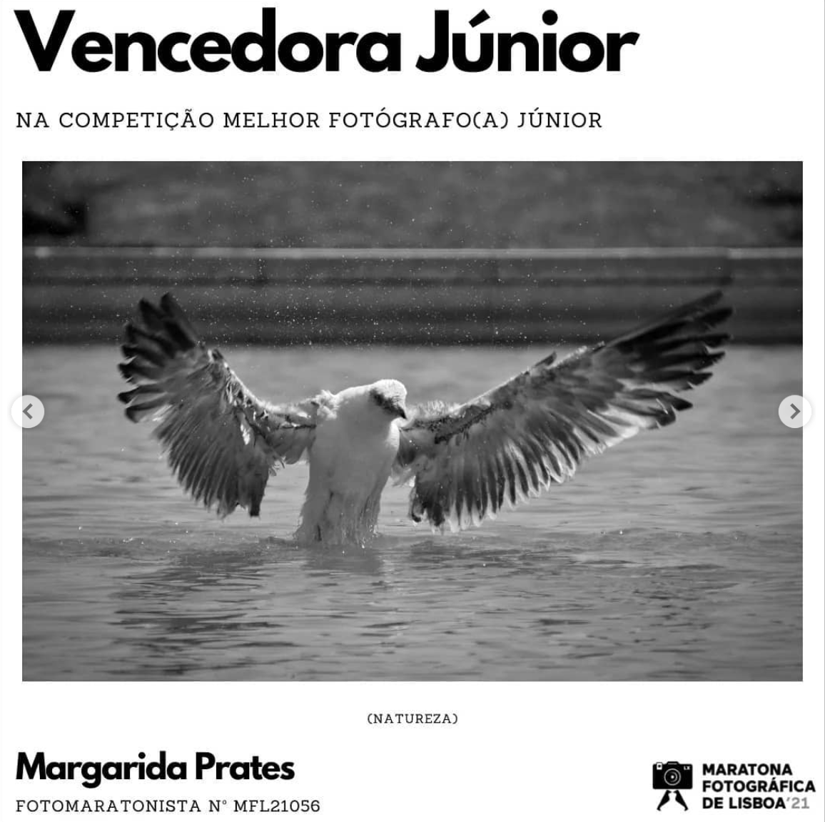 Captura de ecrã 2023-05-23 203510.png