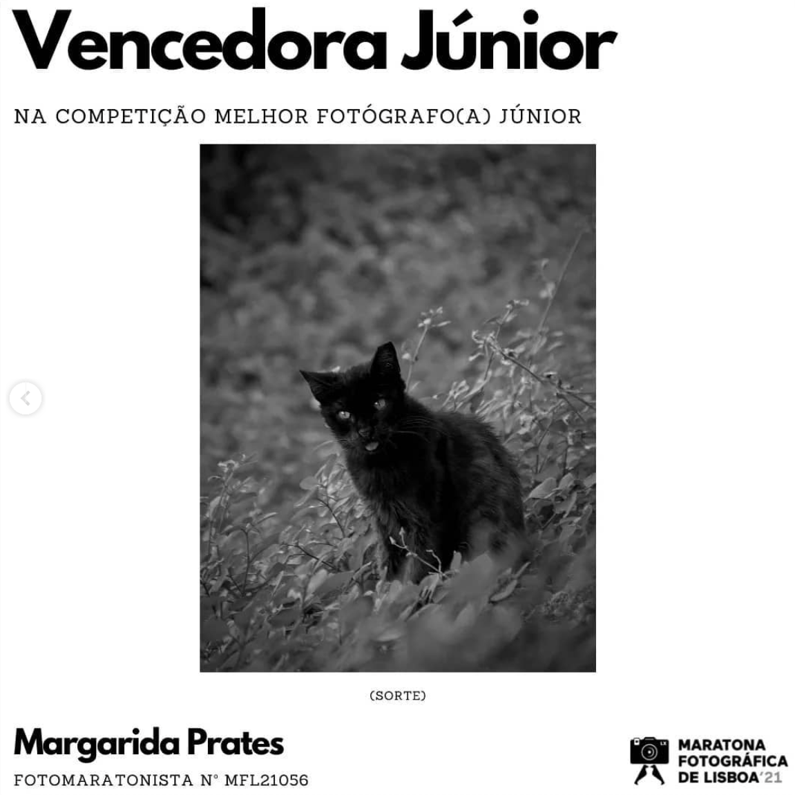 Captura de ecrã 2023-05-23 203600.png