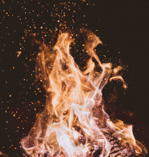 joshua-newton-7qjqQjt7zXQ-unsplash.jpeg