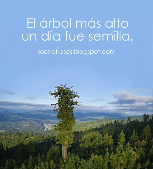 El_árbol_más_alto_un_día_fue_semilla