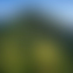 Koko Head: 10 Things to Know