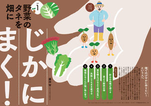 お仕事:やさいの時間 2025年08-09月号