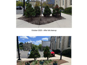 Patio planting area improvement coming
