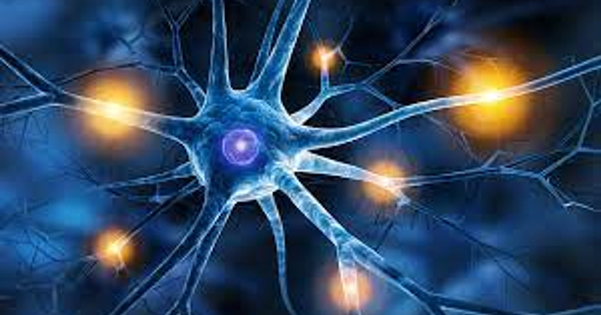 An illustration of the brain and nervous system becoming more sensitive over time, showing how persistent pain can continue even after tissues have healed.