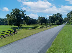 IMG_8627.jpg