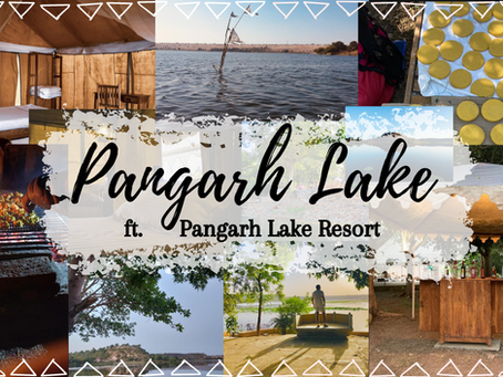 The Pangarh Lake Retreat will take care of your Mind, Body and Soul! 