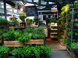 11292010_10155685980925702_130296841_n