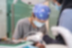 Experienced dentist conducting a dental procedure for a patient.