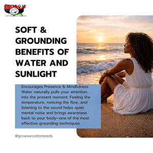 Soft & Grounding Benefits of Water and Sunlight