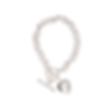 Toggle Charm