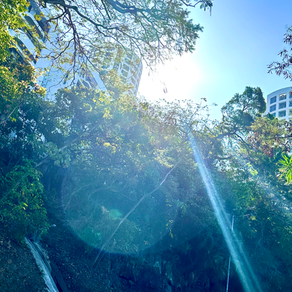 Sunshine, Insomnia and Changes