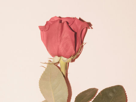 O que é o amor? Uma construção que atravessa a história, a cultura e as relações