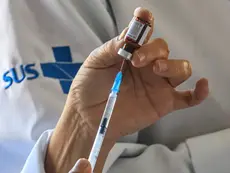DIA D DE VACINAÇÃO SERÁ REALIZADO NESTE SÁBADO EM TODO O PAÍS
