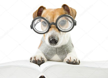 depositphotos_68152471-stock-photo-smart