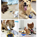 Comedouro_Interativo_para_Cão_e_Gato_-_P