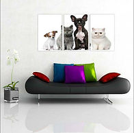 Quadro_Decorativo_Cão_Gato_Pet_Shop_Vete