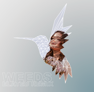 Reina Mora Unveils a Stunning New Music Video for "WEEDS (Elated Remix)"