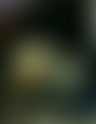 Violet Love connected with us to discuss the raw power of "Destined to Fail" and the deeply personal journey behind it