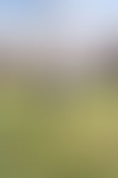 Behind the Music: An Exclusive Interview with Anna Josephine on her Latest Single, 'Take My'