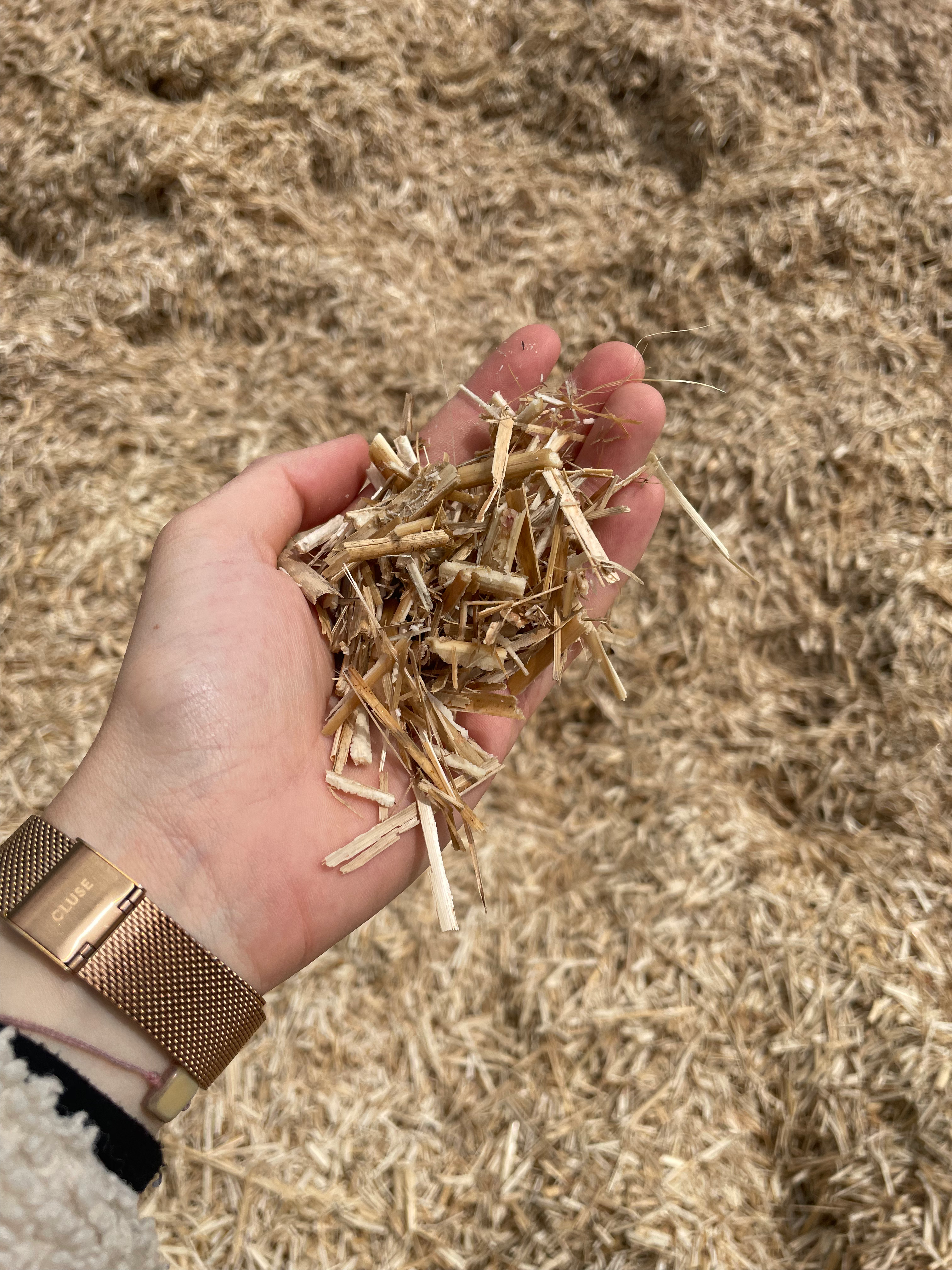 Sac de Miscanthus - 70 litres