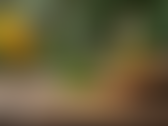 Holistic Health: Nature's Path to Pain Relief