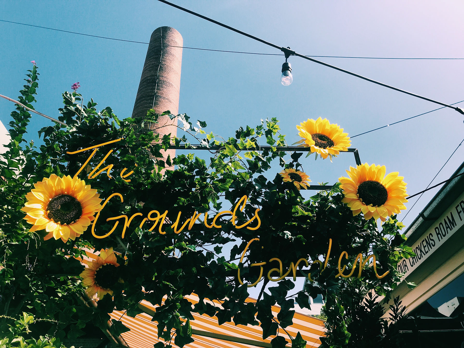 The Grounds of Alexandria
