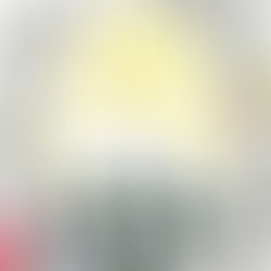 The Death of Anticipation