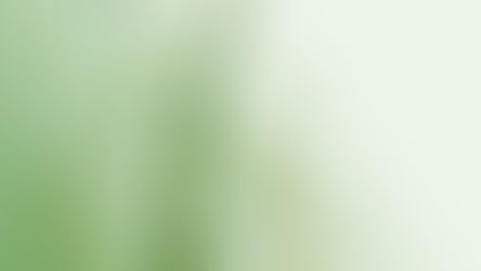 Dávkování Aloe Vera