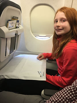 sanitary airplane tray cover perfect for kids and toddlers