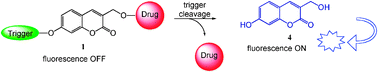 Real-time monitoring of drug release