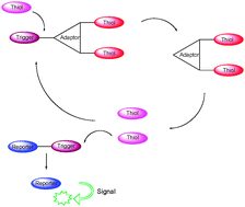 Sulfhydryl-based dendritic chain reaction