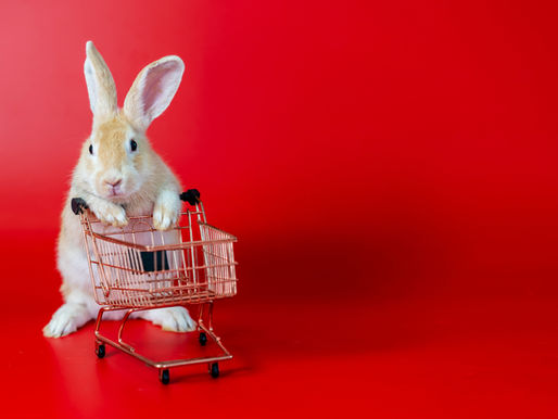 A cute rabbit sits in a small shopping cart against a bright red background, creating a playful and vibrant scene.