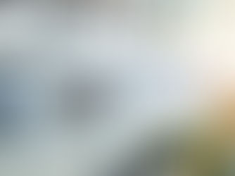 Price tag for coconut cream, 250ml, $4.09, on a grocery shelf. Blurred products in the background with bright lighting