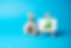 Capital increase. Expanding operations, entering new markets. Financial planning and analy
