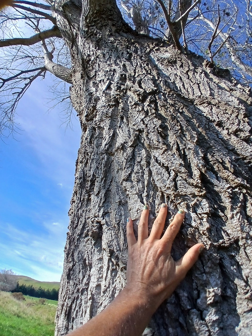 grounding connecting with nature