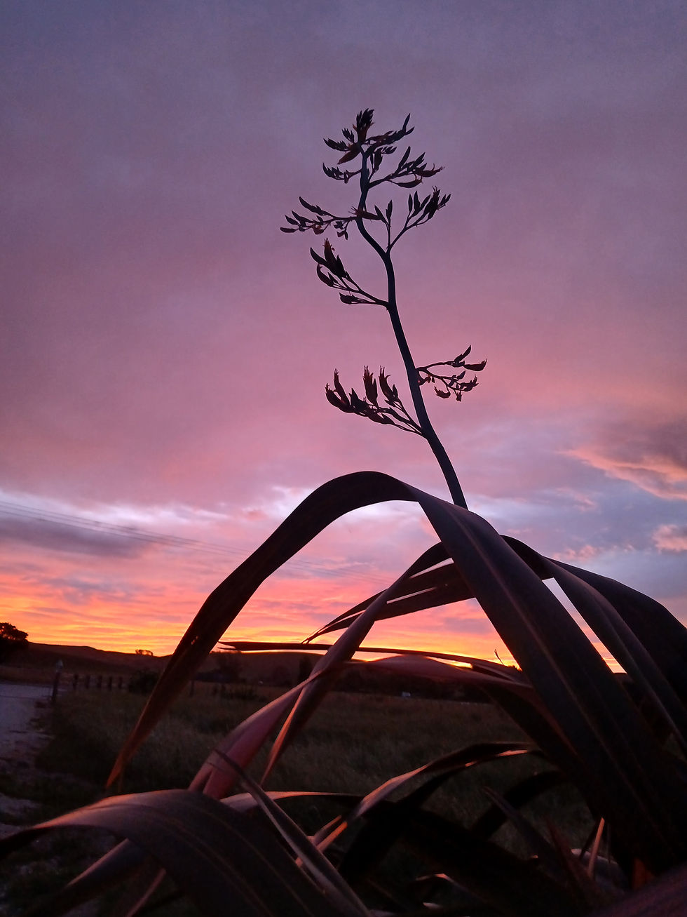 How It All Began: My Journey into the World of Wellness and Fitness