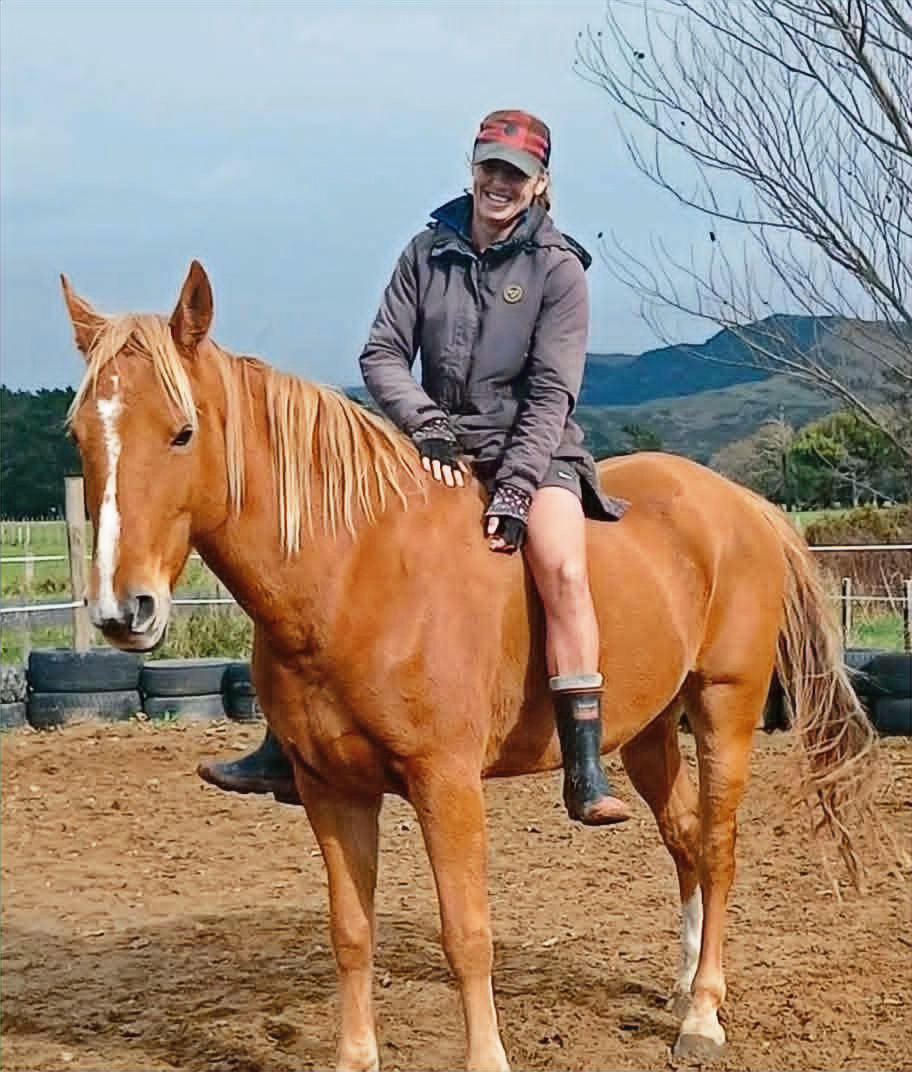 horses helping humans reconnect