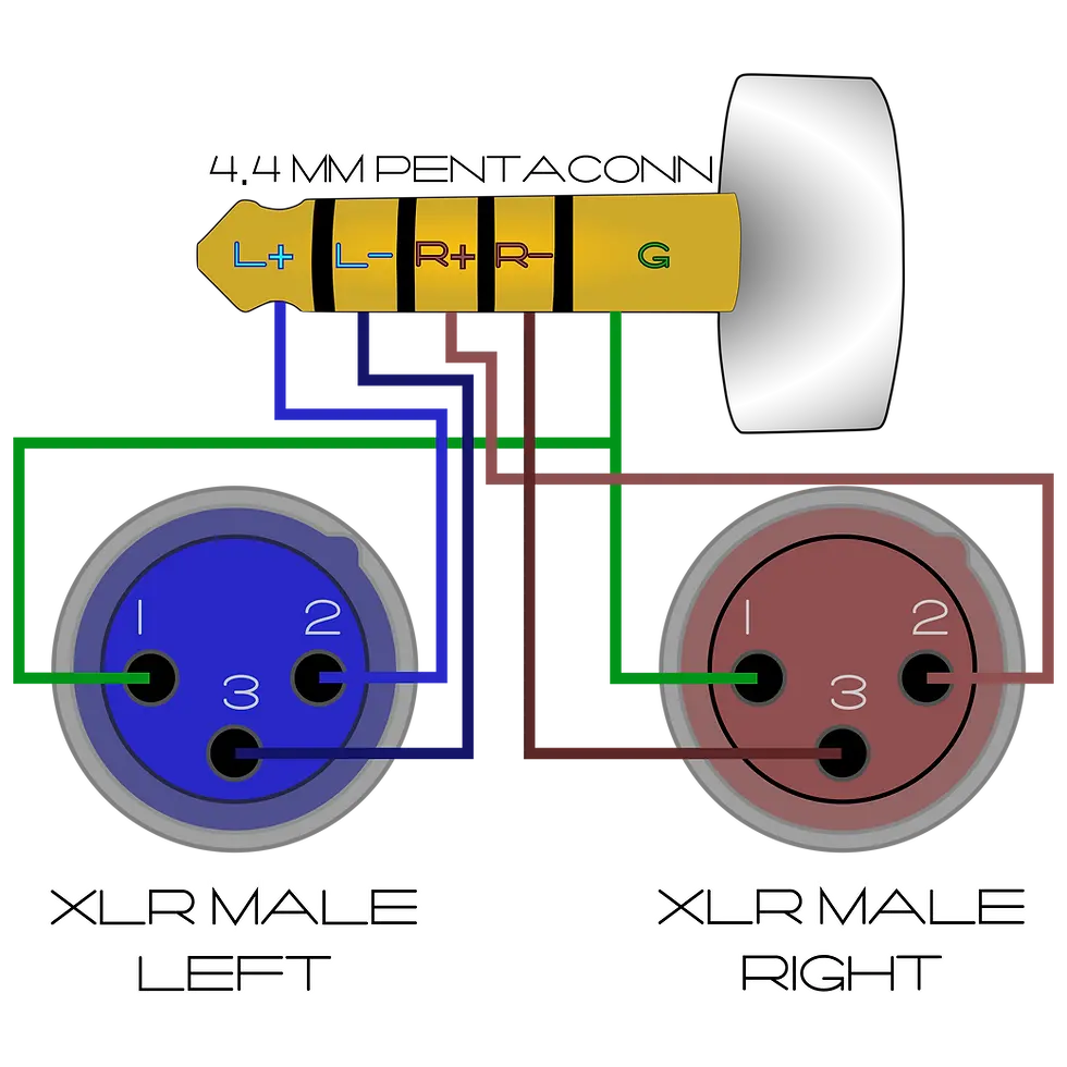 Thumbnail: 4.4 mm Pentaconn to Dual XLR Male Pinout Diagram