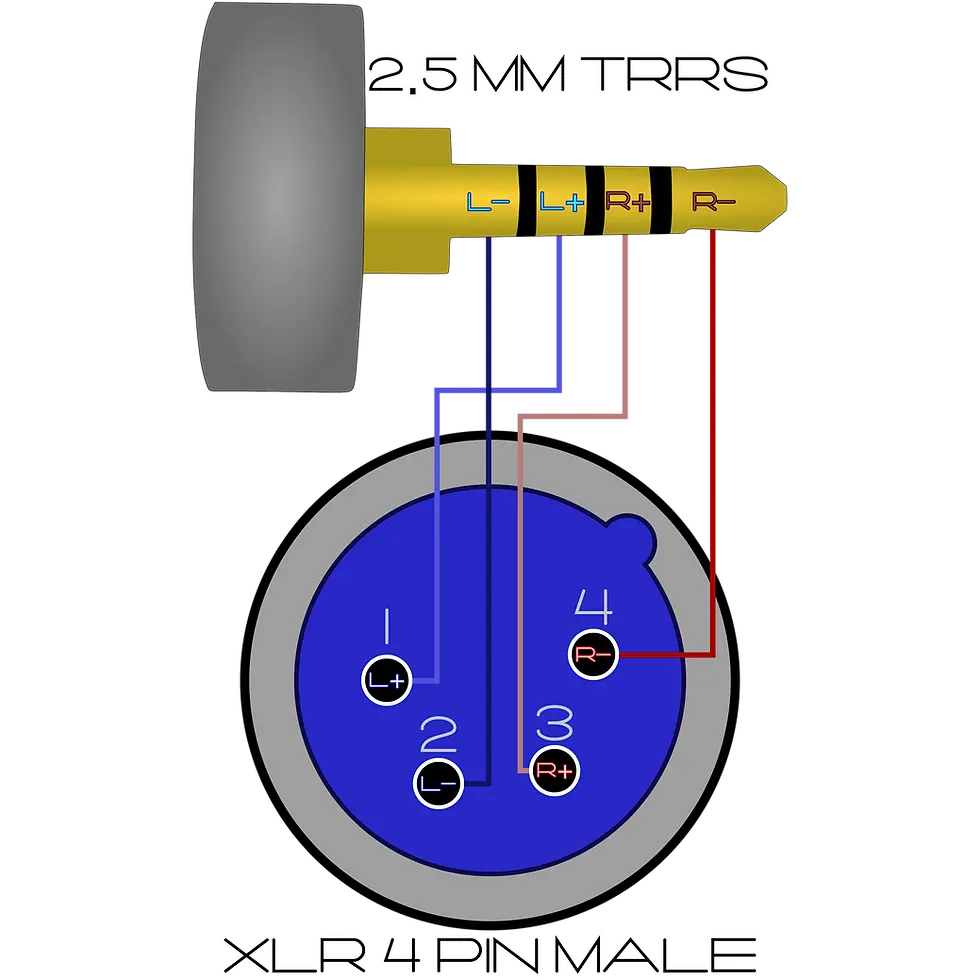 Thumbnail: 2.5 mm TRRS Jack to 4 Pin XLR Male Pluf Wiring Diagram Pinout