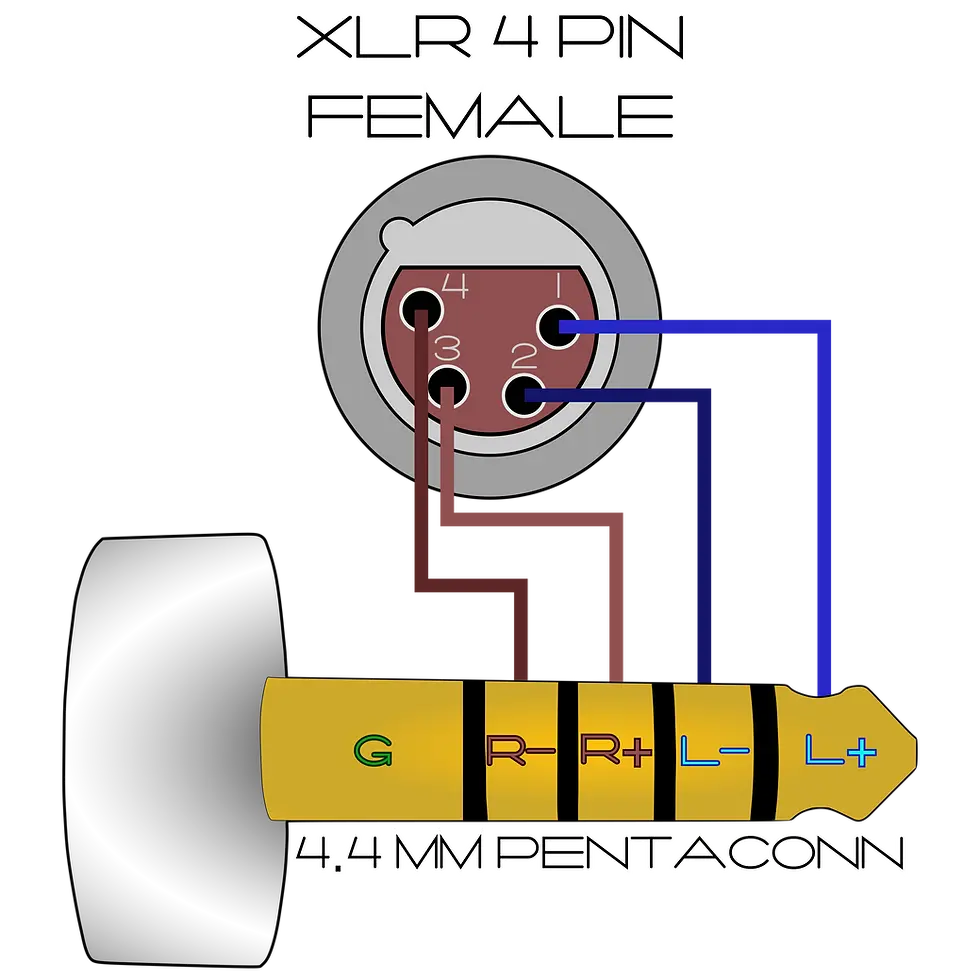 Thumbnail: XLR 4 Pin Female to 4.4 mm Pentaconn Wiring Diagram