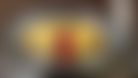 乙女 オムライスに感動。IKIGAIは、喜怒哀楽のあいだに。