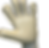 IMG_0895_edited.png