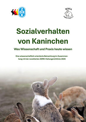 Sozialverhalten von Kaninchen aus wissenschaftlicher Sicht