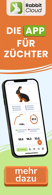 RabbitCloud Banner 1-4.png