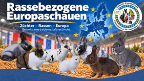 Rassebezogene Europaschauen 2026/2027