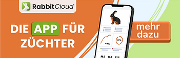 RabbitCloud Banner 3-1.png
