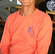 TshirtSalmonLong.png