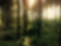gustav-gullstrand-d6kSvT2xZQo-unsplash-min.jpg